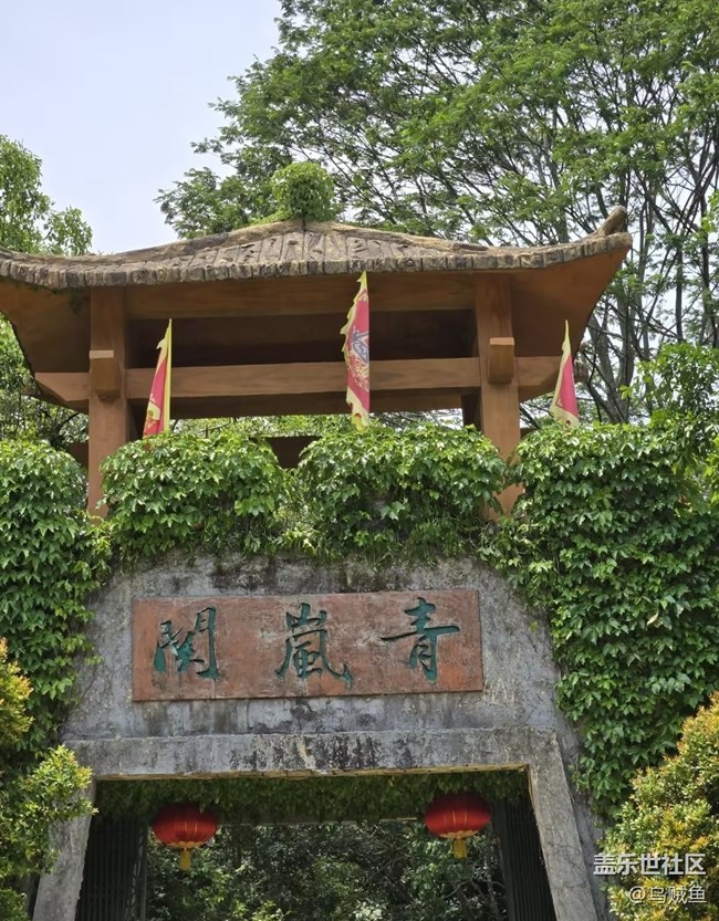 【行旅閱山河】野游