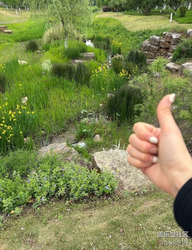 【行旅閱山河】漫步花叢