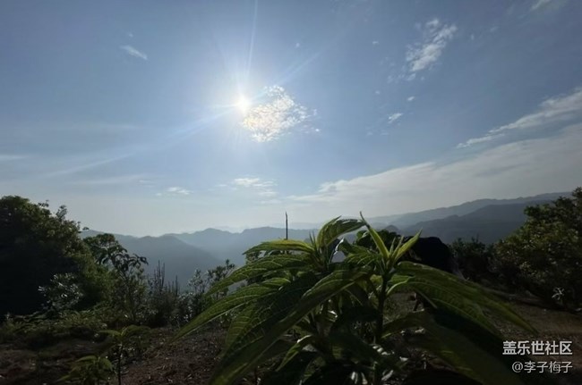 【行旅閱山河】鄉(xiāng)下