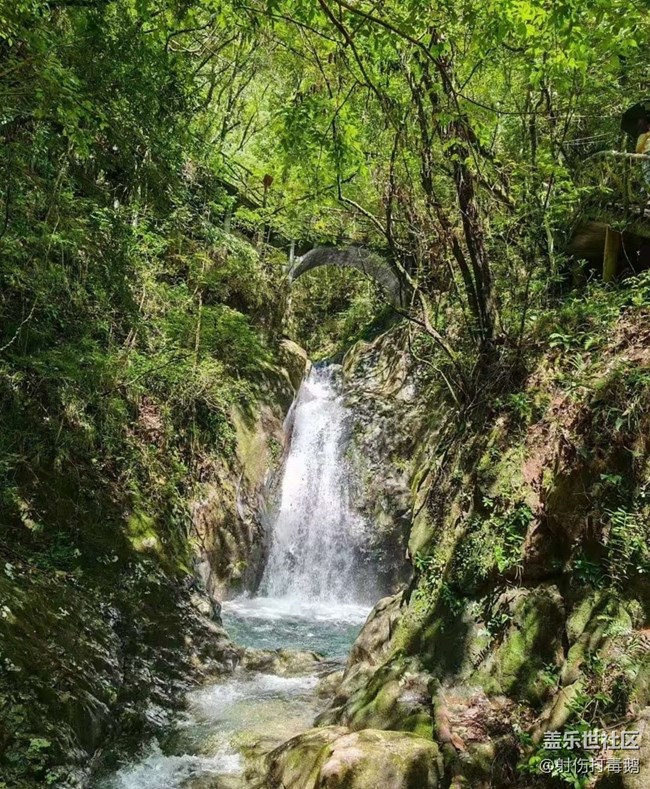 【行旅閱山河】山里游