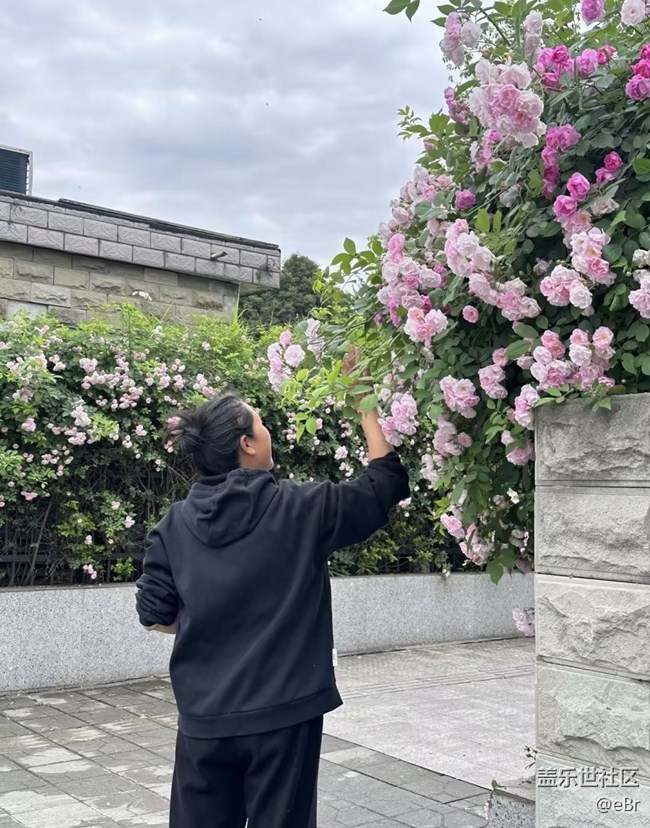 【行旅閱山河】拍春天