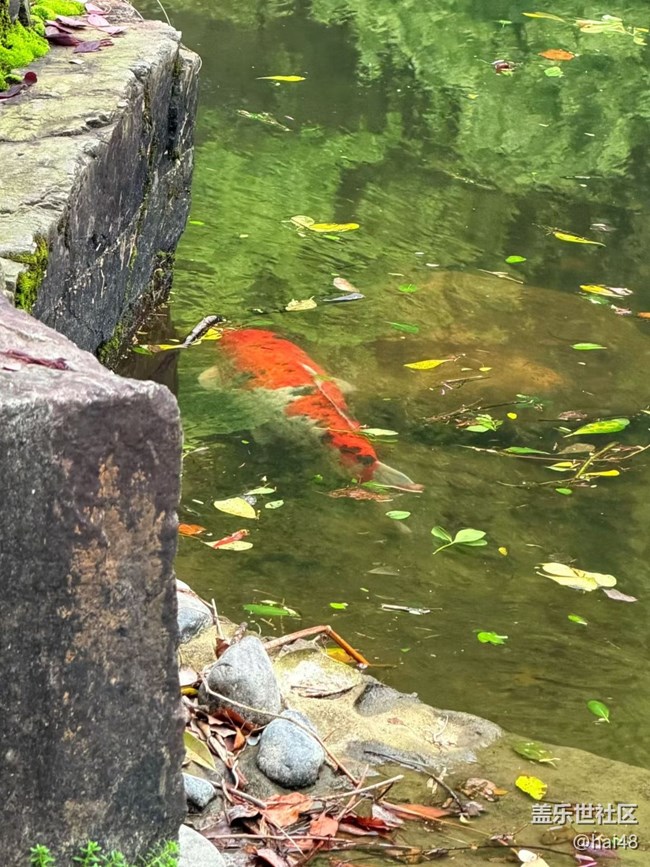 【行旅閱山河】自然之美