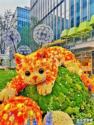 卉聚前灘里（二）