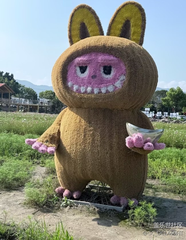【行旅閱山河】戶外撒野