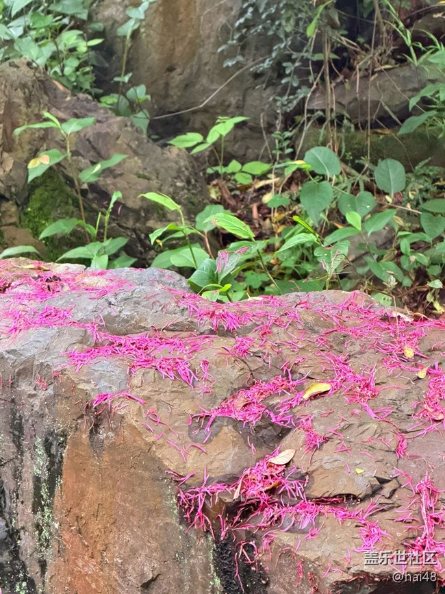 【行旅閱山河】自然之美