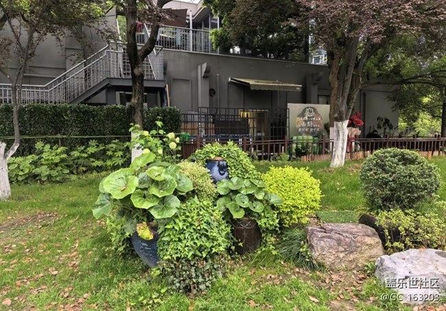 【行旅閱山河】小園林