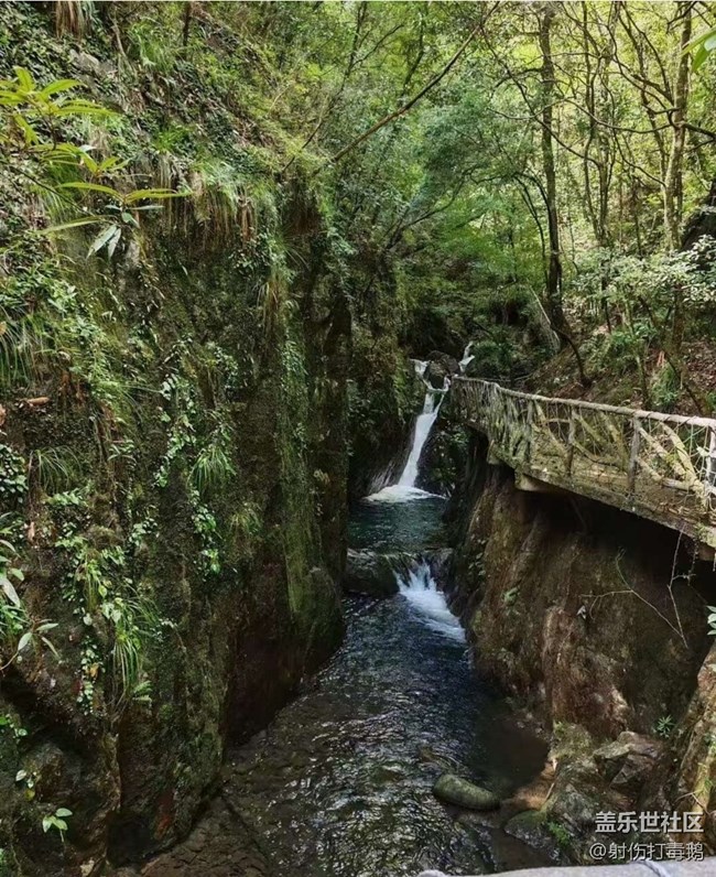 【行旅閱山河】山里游