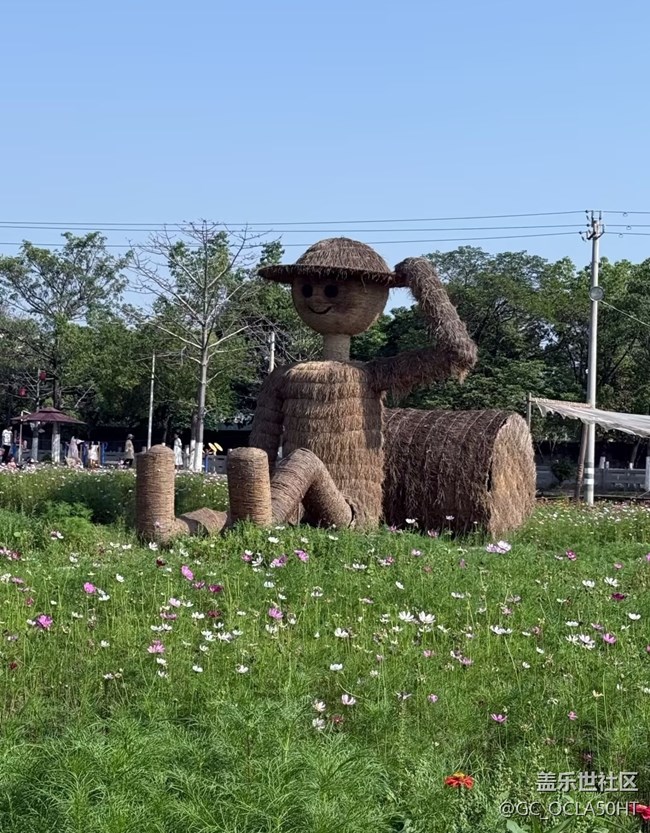 【行旅閱山河】戶外撒野