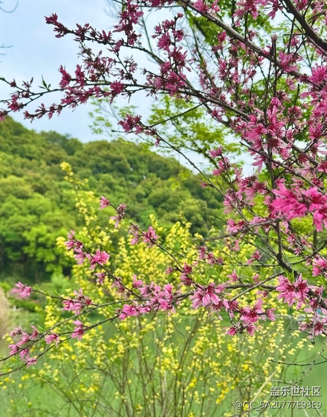 【行旅閱山河】四月天