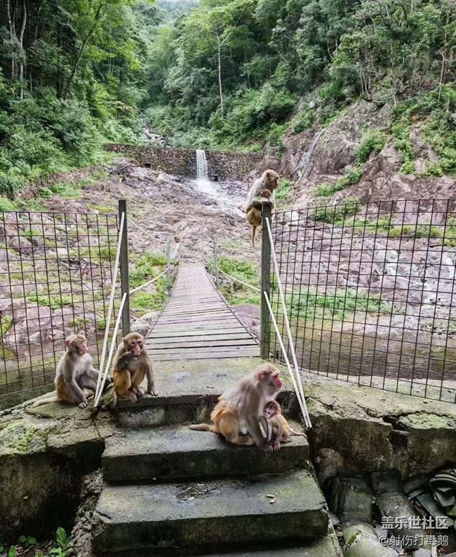 【行旅閱山河】山里游