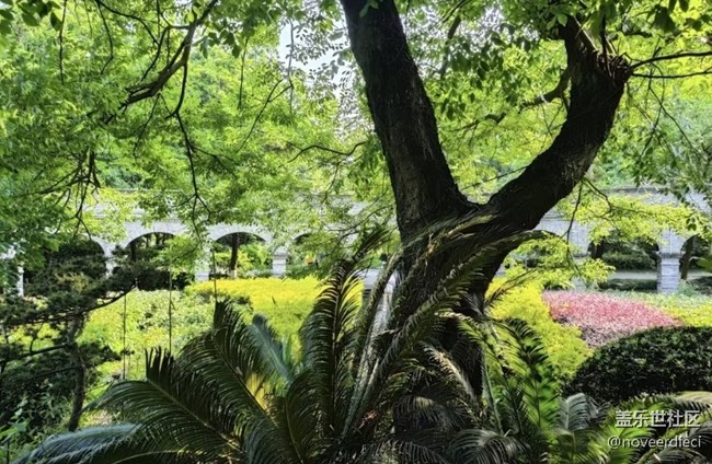 【行旅閱山河】濕地公園