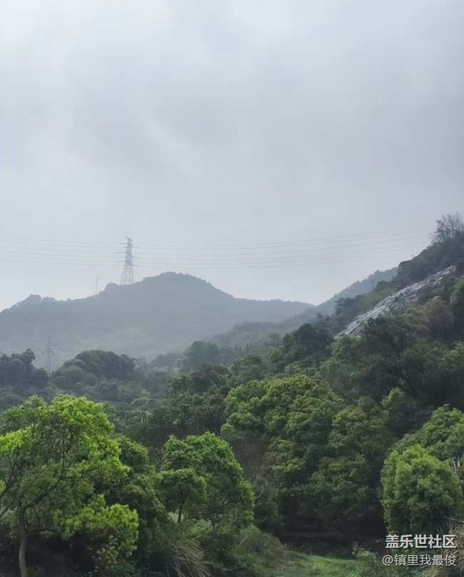 【行旅閱山河】綠樹成蔭