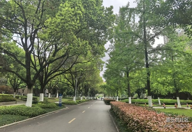 【行旅閱山河】小園林