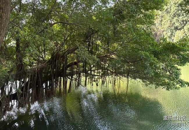 【行旅閱山河】綬溪公園