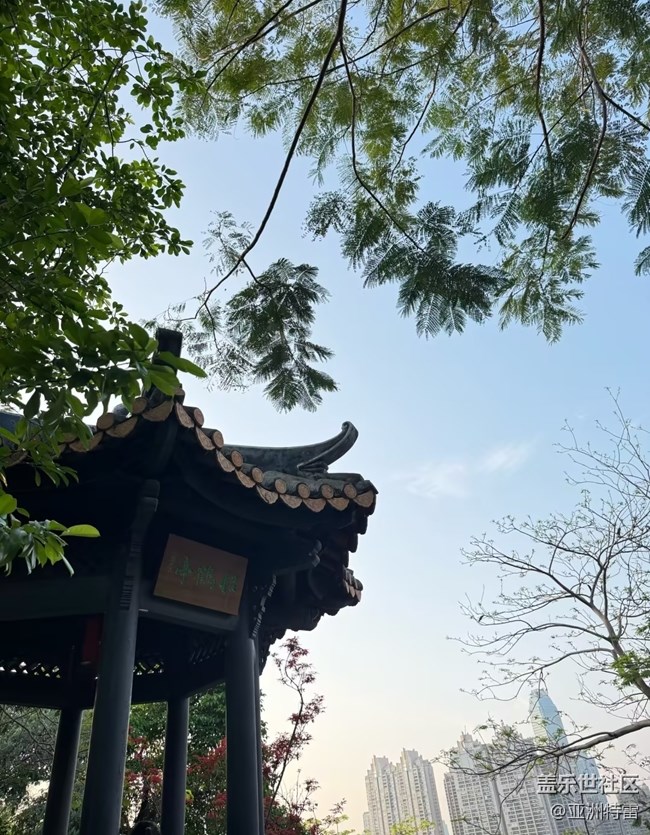 【行旅閱山河】大好河山