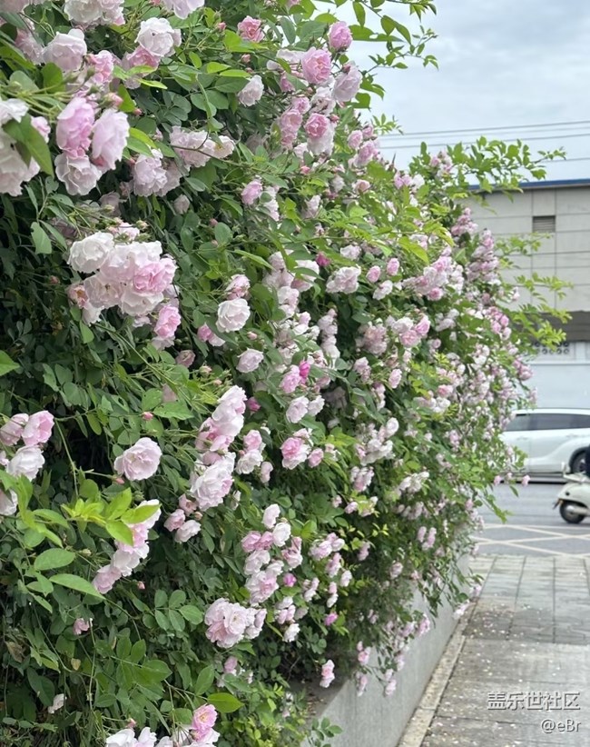 【行旅閱山河】拍春天