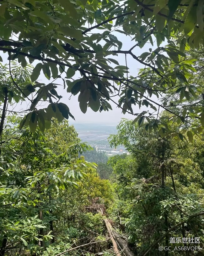 【行旅閱山河】周末徒步