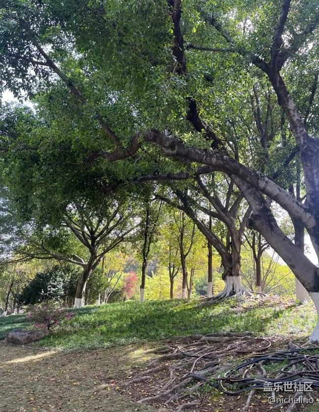 【行旅閱山河】春夏之交