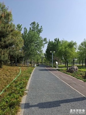 【城市映像】周末公園