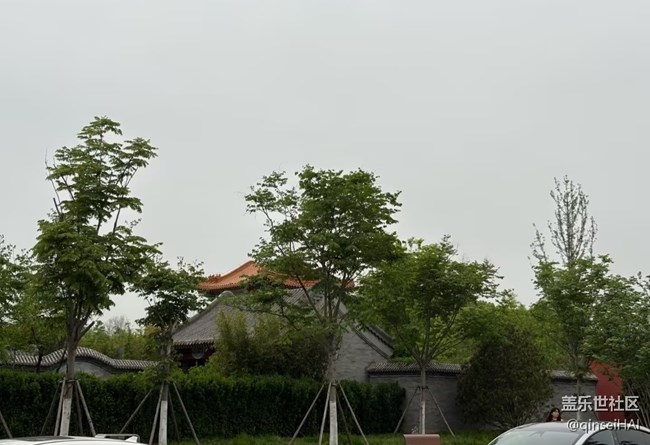 【行旅閱山河】漫步花叢