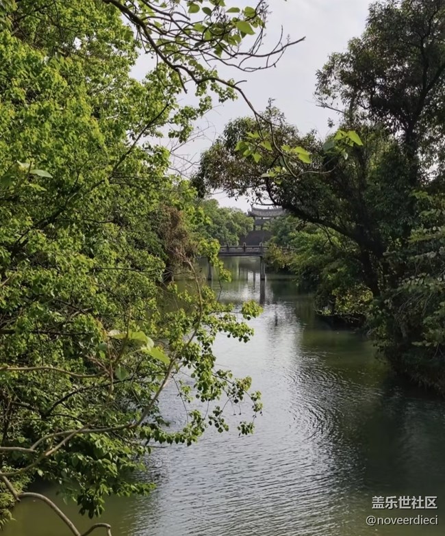 【行旅閱山河】濕地公園