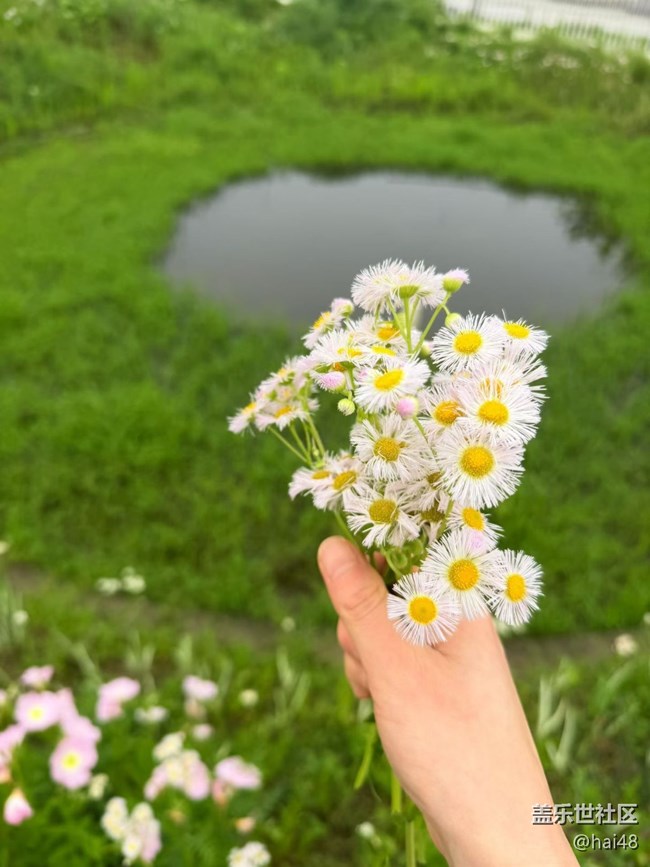 【行旅閱山河】自然之美
