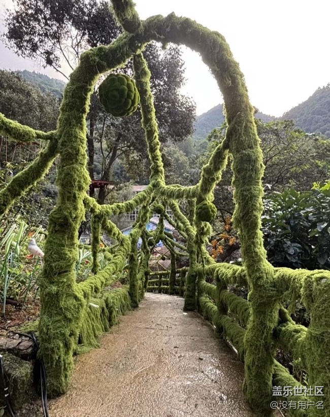 【行旅閱山河】花海