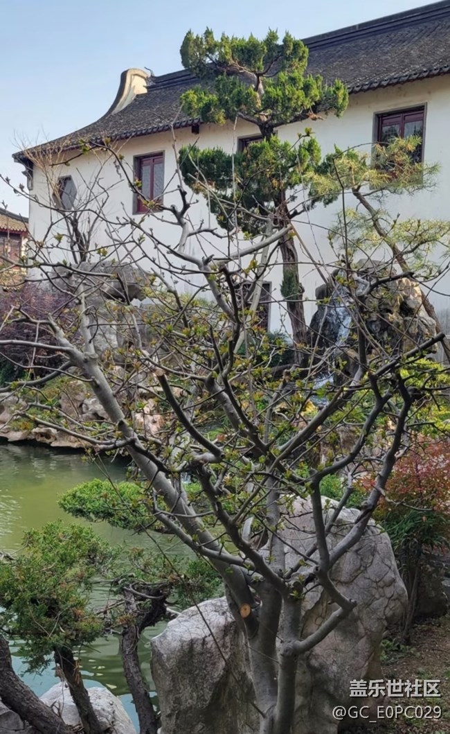 【行旅閱山河】園林風(fēng)景