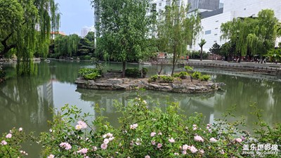 【城市映像】花園城市