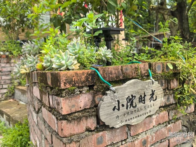 【行旅閱山河】打卡林溪谷