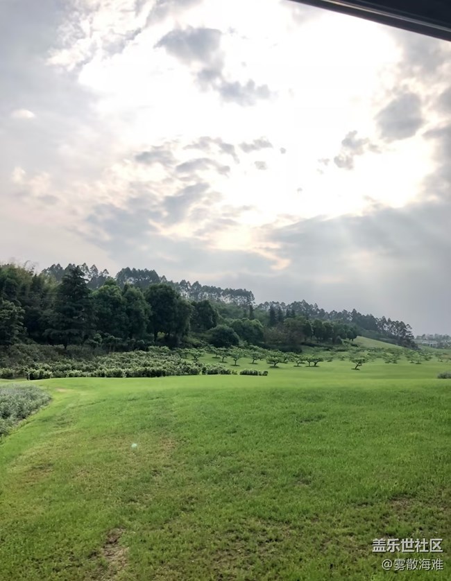 【行旅閱山河】綠意盎然