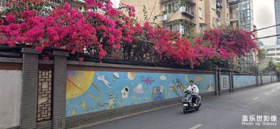 【城市映像】和我在成都的街頭走一走喔哦喔