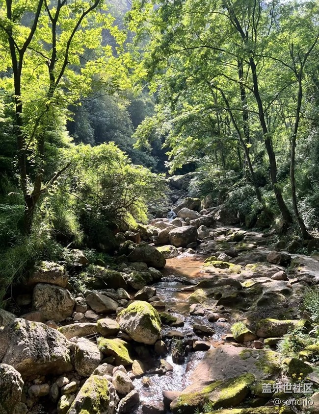 【行旅閱山河】探險(xiǎn)自然