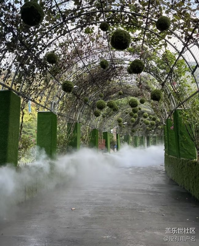 【行旅閱山河】花海
