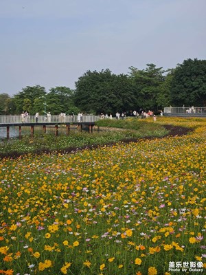 【城市映像】+流花湖