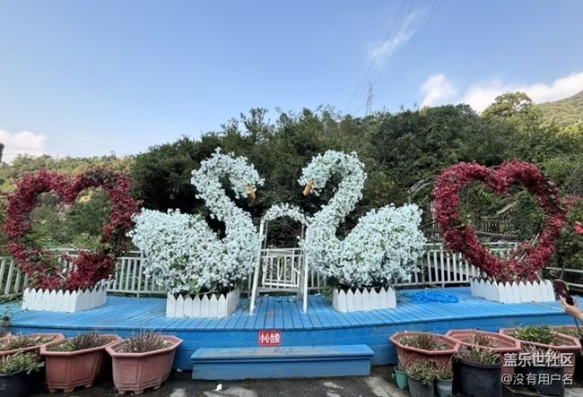 【行旅閱山河】花海