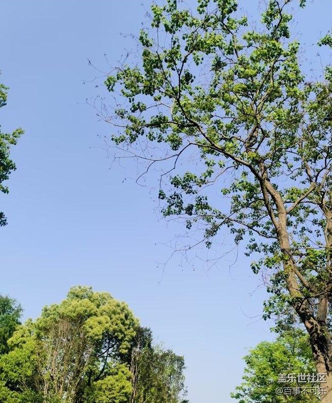 【行旅閱山河】春天美景