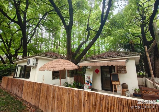 【行旅閱山河】公園吸氧