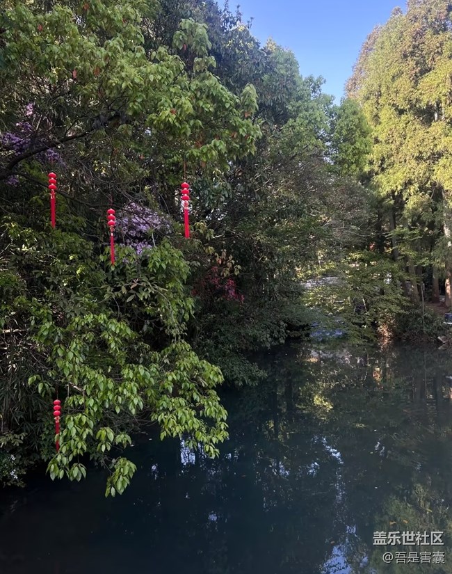 【行旅閱山河】開花