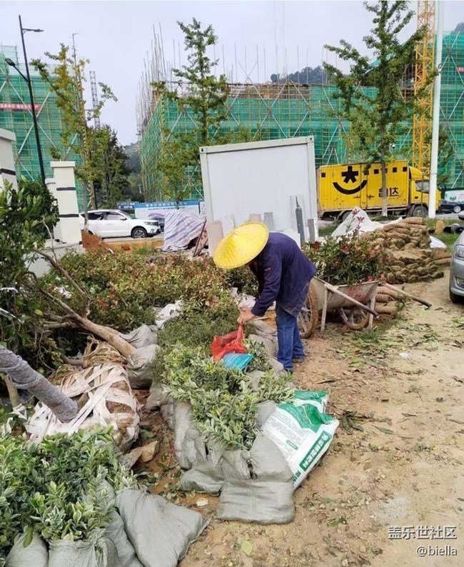 【行旅閱山河】每日工作