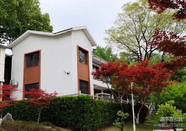 【行旅閱山河】公園吸氧
