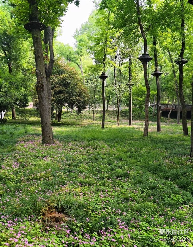 【行旅閱山河】醉美四月天