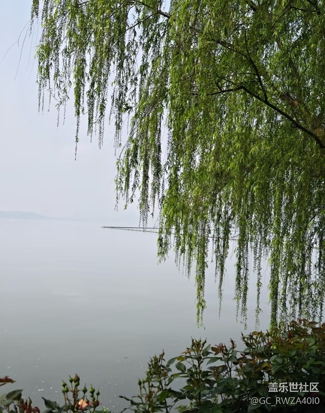 【行旅閱山河】醉美四月天