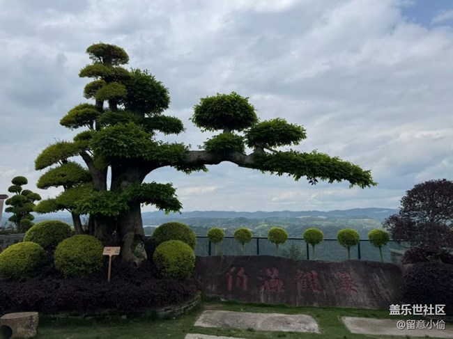 【行旅閱山河】好天氣