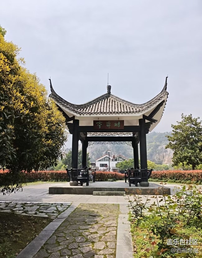 【行旅閱山河】花季