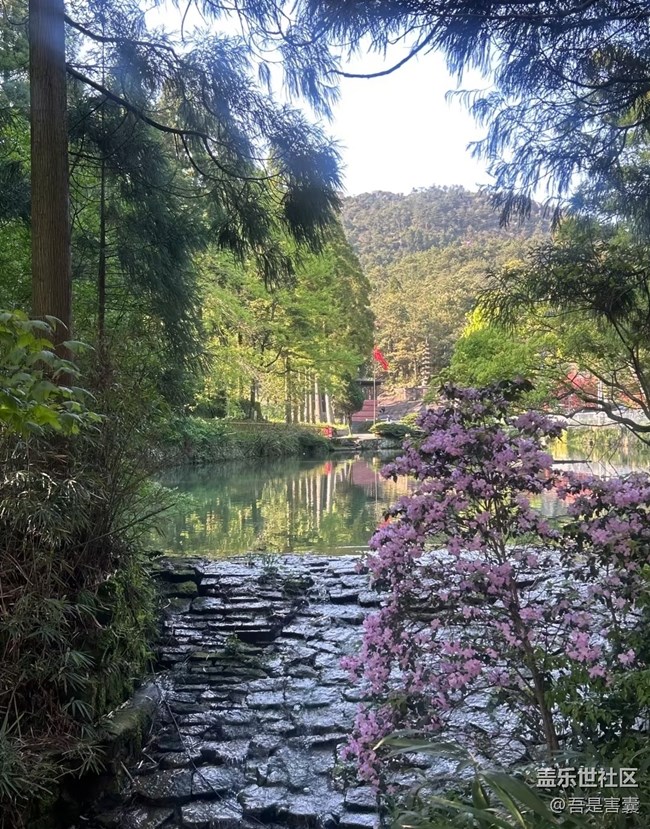 【行旅閱山河】開花