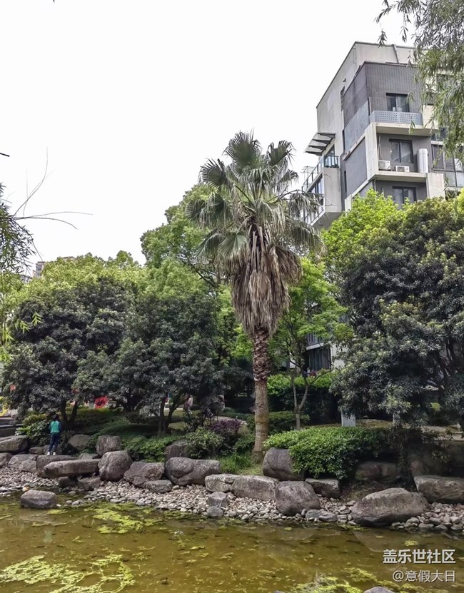 【行旅閱山河】小區(qū)隨手拍