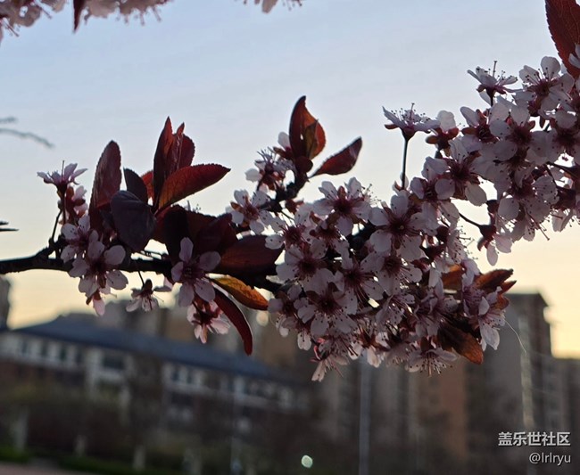 【拾光漫步】清晨光景
