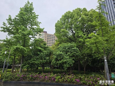 【城市映像】+多彩的上海