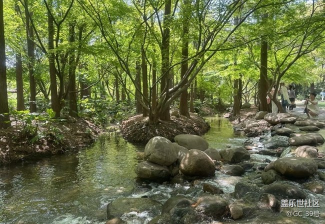 【行旅閱山河】春意闌珊